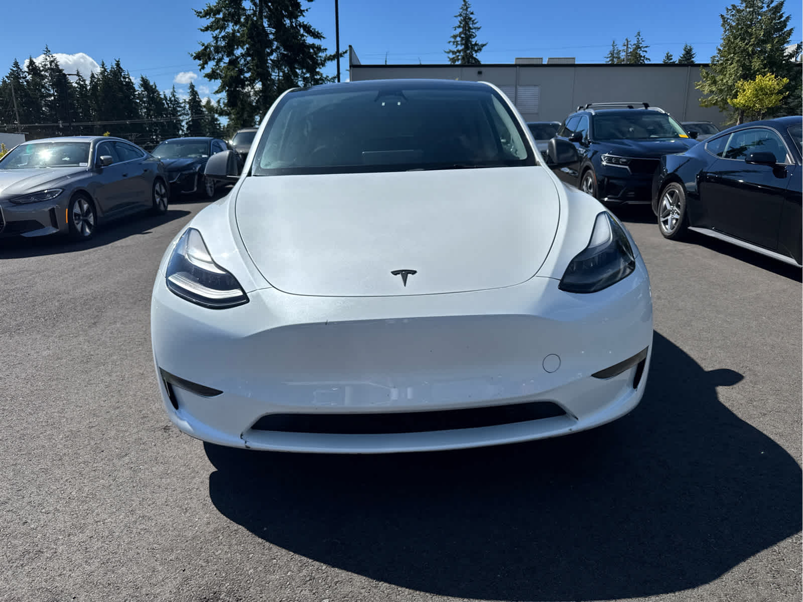 tesla model y 2023 7SAYGDEE0PF659804 image tesla model y 2023 7SAYGDEE0PF659804 image
